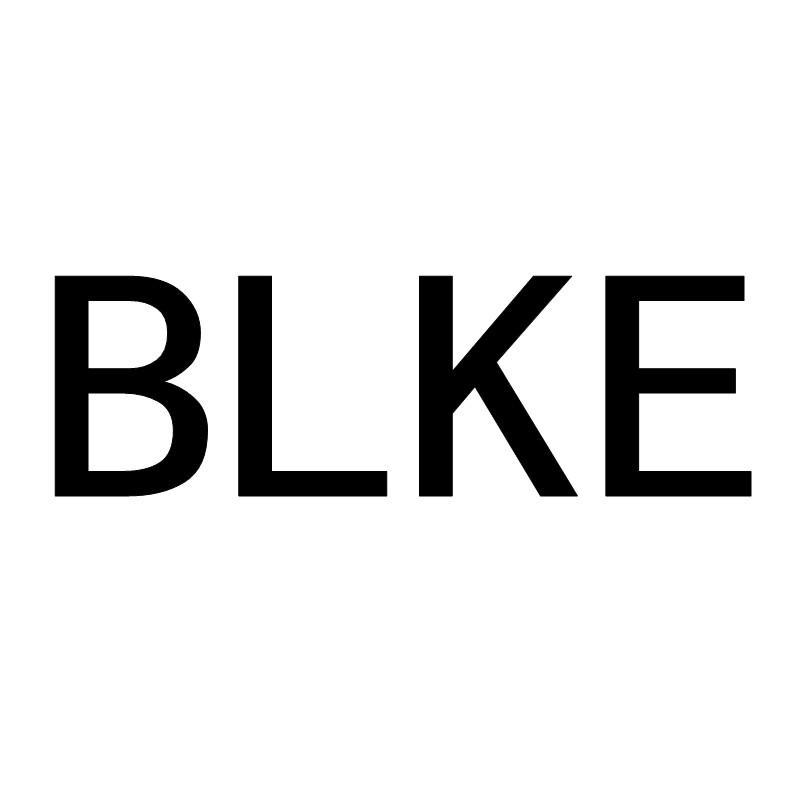 BLKE_博林克_存储器